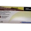 Oryginalne ampułki Testosteronum Testosterone Enanthate 250mg - Testosteron Enanthate na masę
